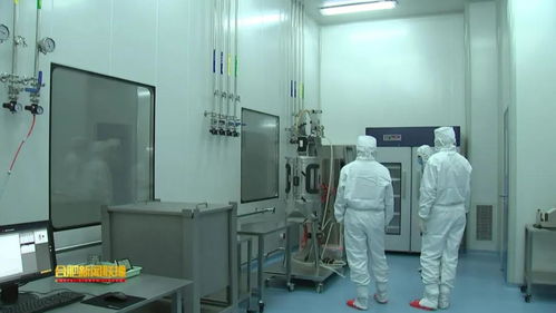 安科生物 以研發為翼，驅動創新未來的安徽生物科技領軍者